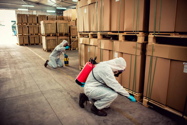 Best Best Pest Control Companies  in Vincent, CA