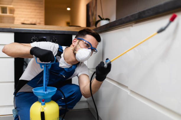 Best Pest Prevention Services  in Vincent, CA