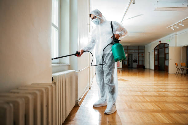 Pest Prevention Services in Vincent, CA