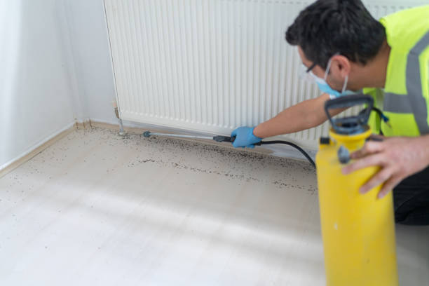 Pest Control Cost in Vincent, CA